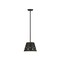 Z-Lite Katie 1 Light Chandelier, Matte Black 6014-12MB - alternate 2
